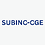 SUBINC-CGE